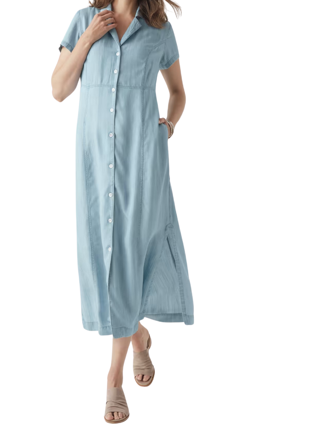 Indigo Shirtdress